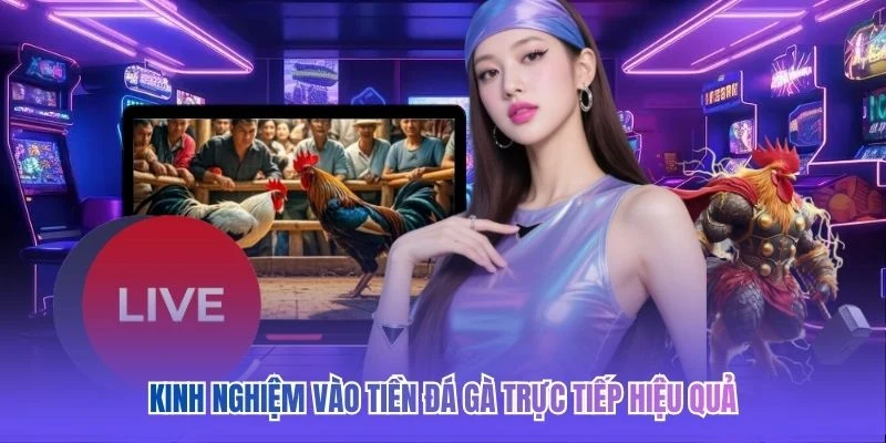 Kinh nghiệm v&agrave;o tiền đ&aacute; g&agrave; trực tiếp hiệu quả