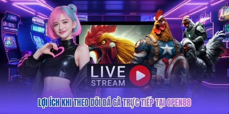 Lợi &iacute;ch khi theo d&otilde;i đ&aacute; g&agrave; trực tiếp tại OPEN88