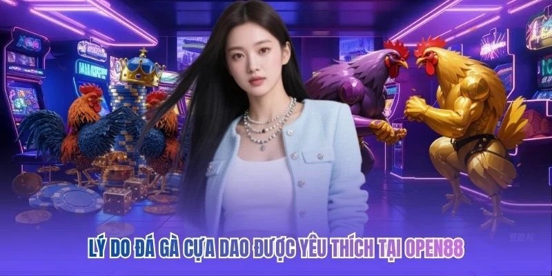 L&yacute; do đ&aacute; g&agrave; cựa dao được y&ecirc;u th&iacute;ch tại OPEN88