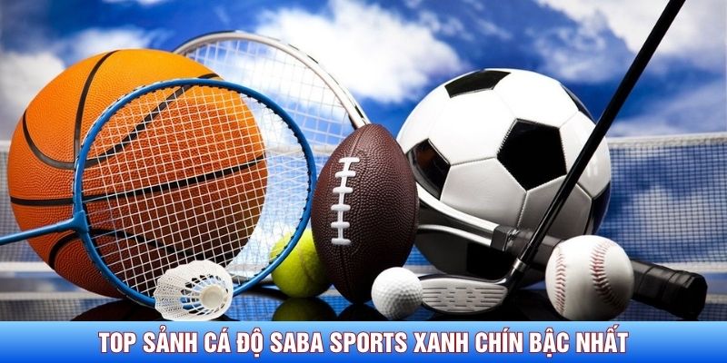 Top sảnh c&aacute; độ Saba Sports xanh ch&iacute;n bậc nhất